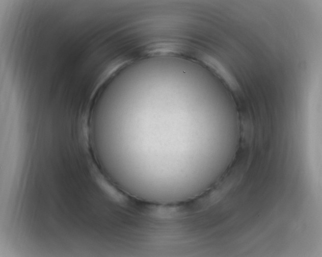 X0000113940890200910021300