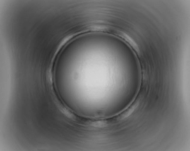 X0000113940891200910021300