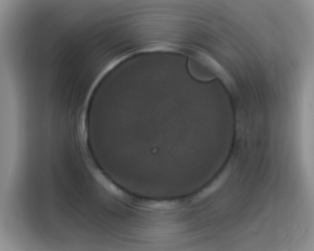 X0000113940892200910021300