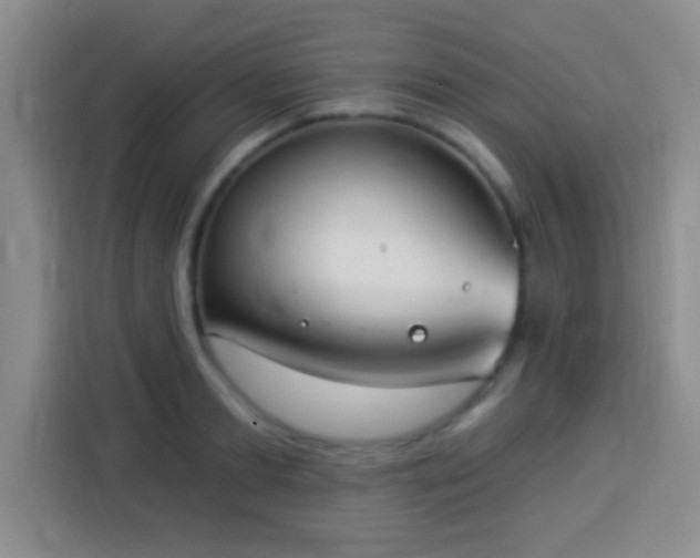 X0000113940893200910021300