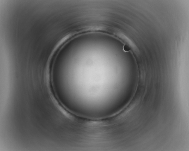 X0000113940894200910021300