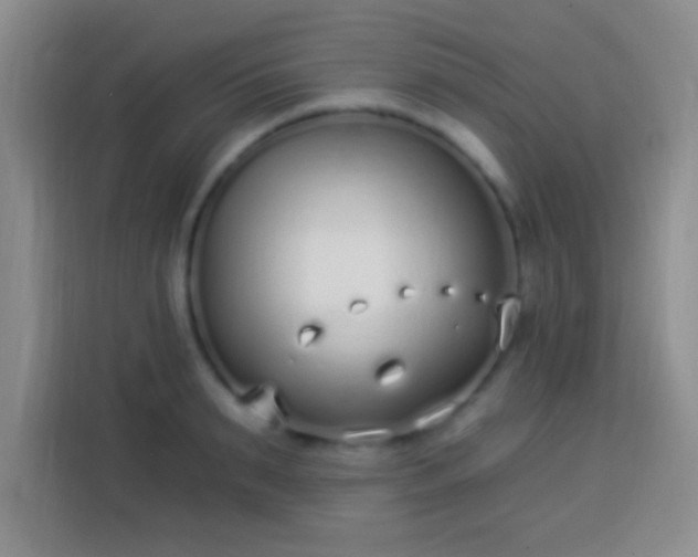 X0000113940895200910021300