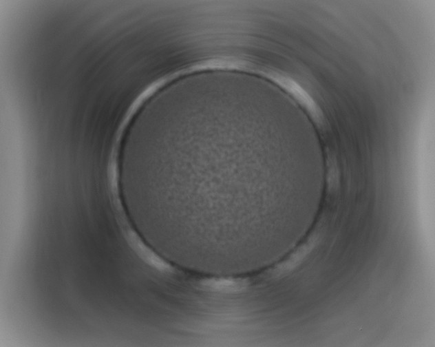 X0000113940896200910021300