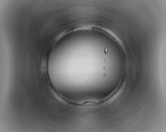 X0000113940897200910021300