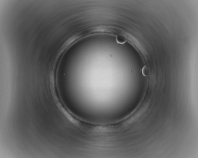 X0000113940898200910021300