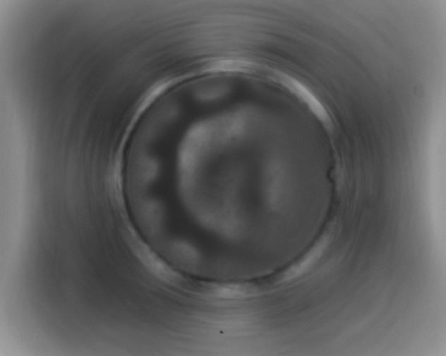 X0000113940899200910021300