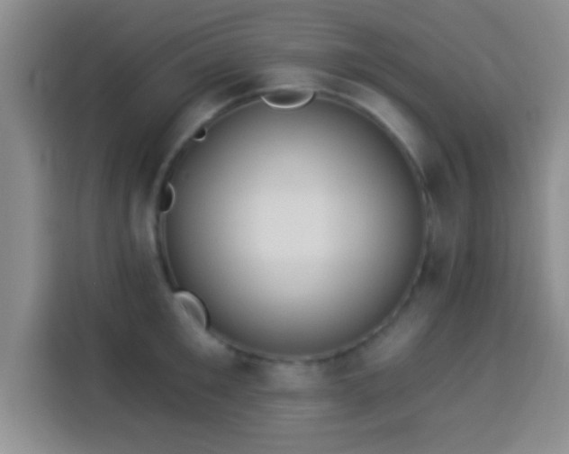 X0000113940901200910021300