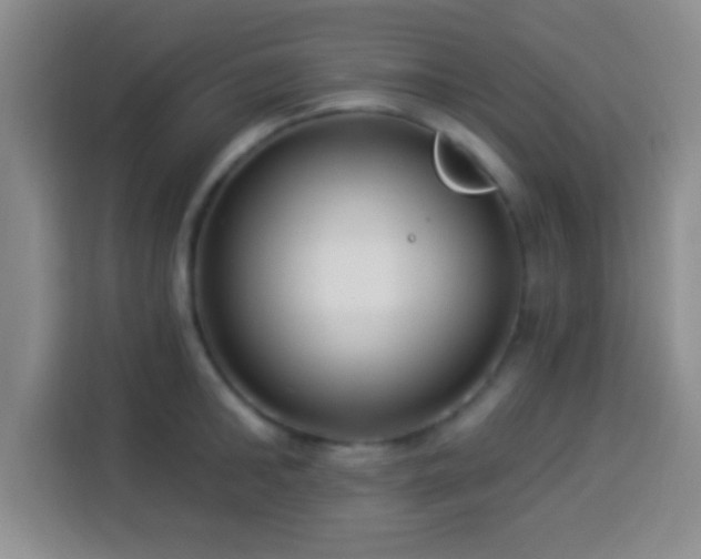 X0000113940902200910021300