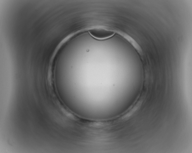 X0000113940904200910021300