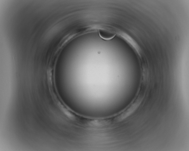 X0000113940906200910021300