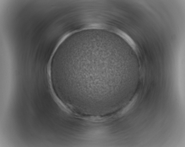 X0000113940907200910021300