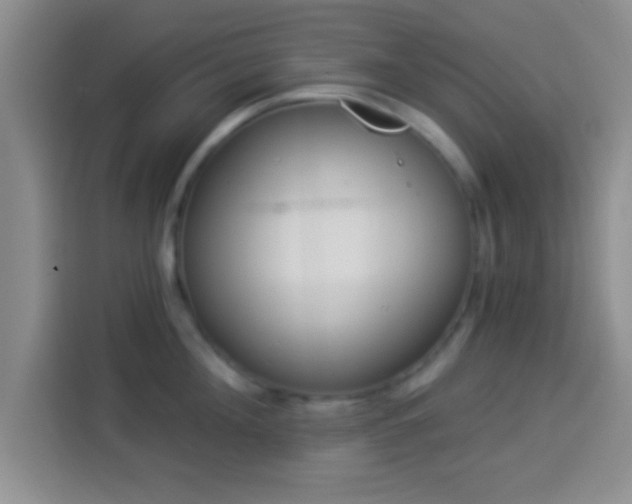 X0000113940908200910021300