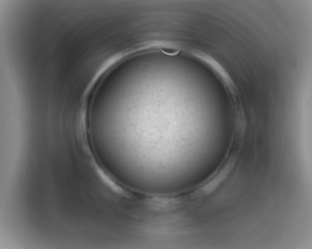 X0000113940910200910021300