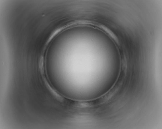 X0000113940911200910021300