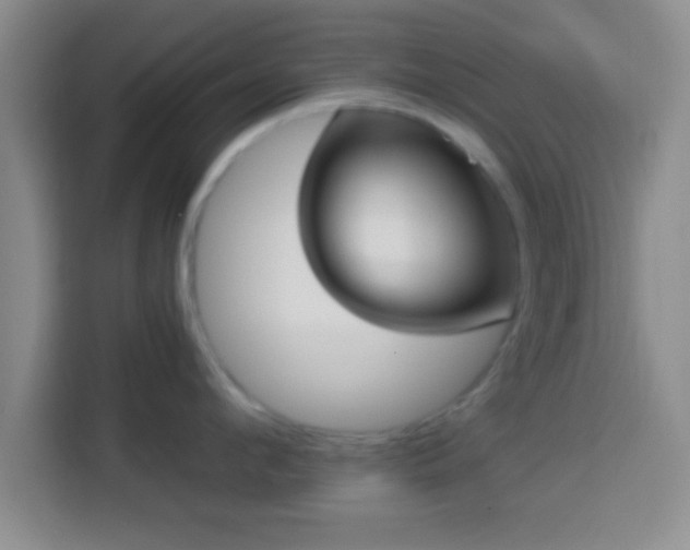 X0000113940912200910021300