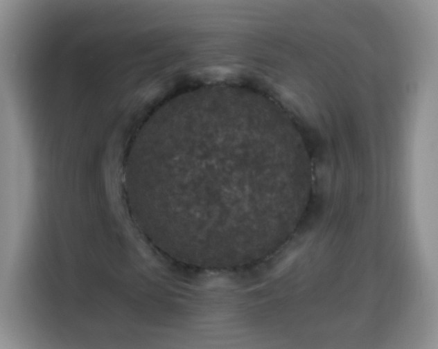 X0000113940913200910021259