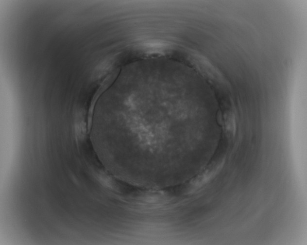 X0000113940916200910021259