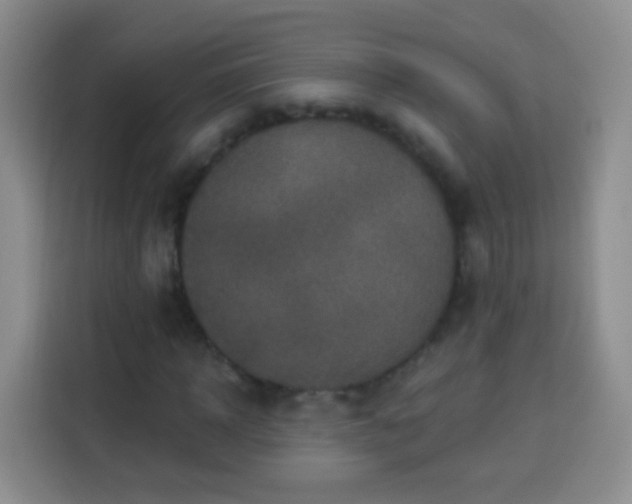 X0000113940918200910021259