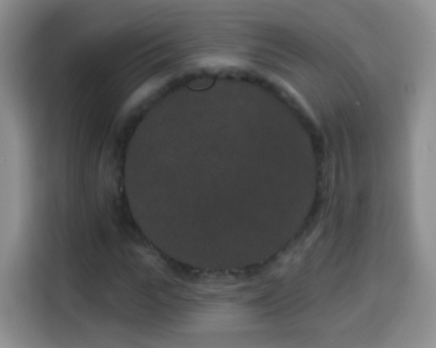 X0000113940919200910021259