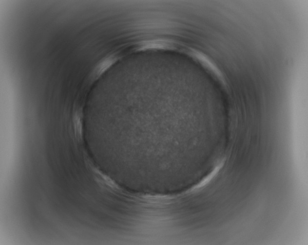 X0000113940921200910021259