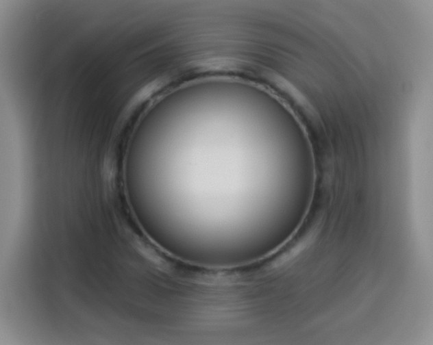 X0000113940922200910021259