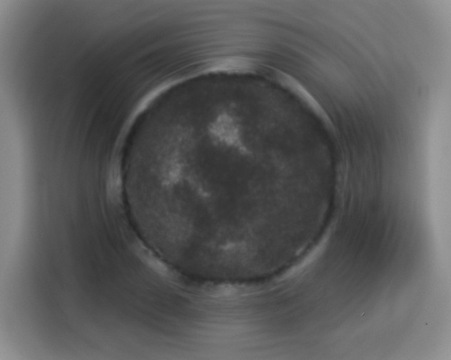 X0000113940923200910021259