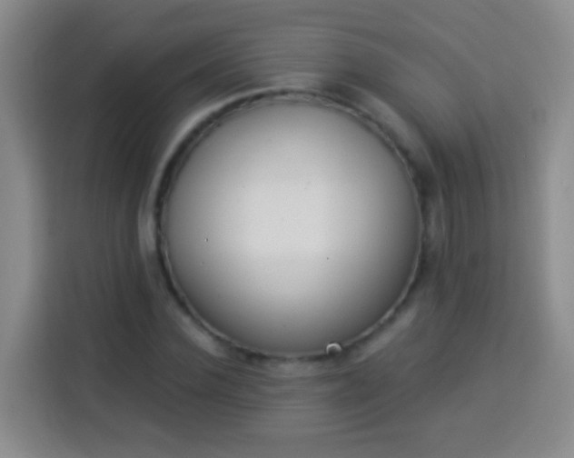 X0000113940924200910021259