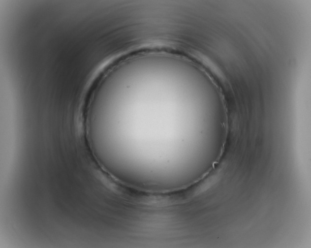 X0000113940927200910021259