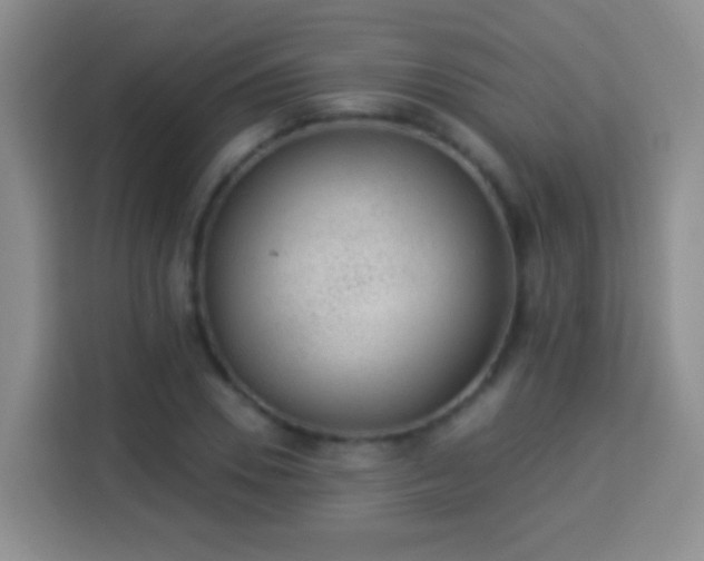 X0000113940930200910021259