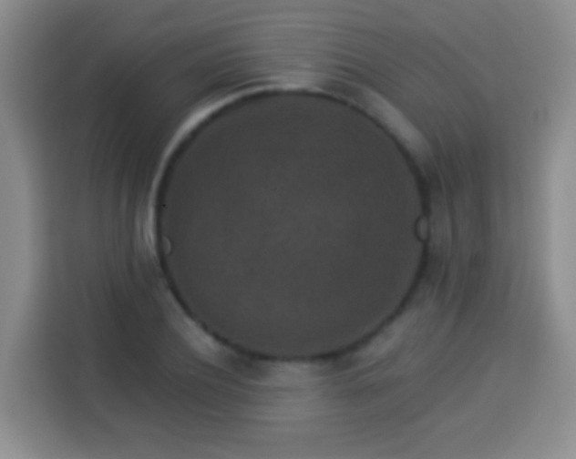 X0000113940932200910021259