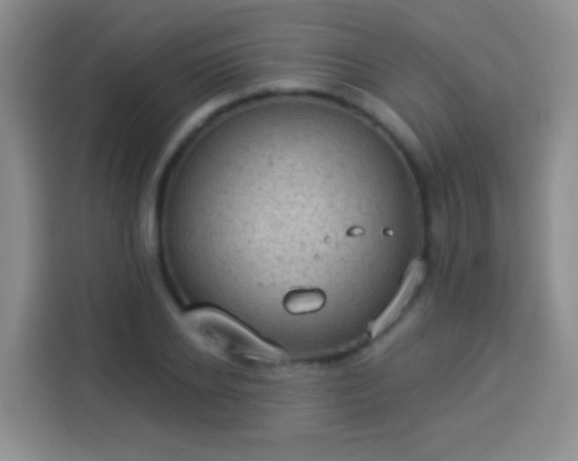 X0000113940934200910021259