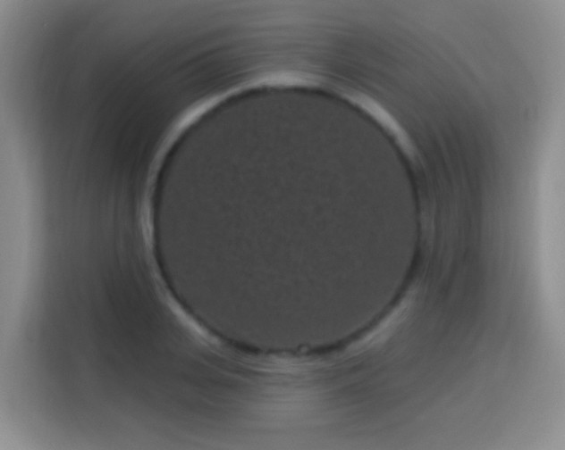 X0000113940935200910021259