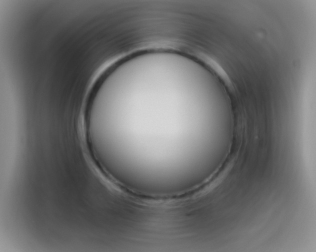 X0000113940936200910021259