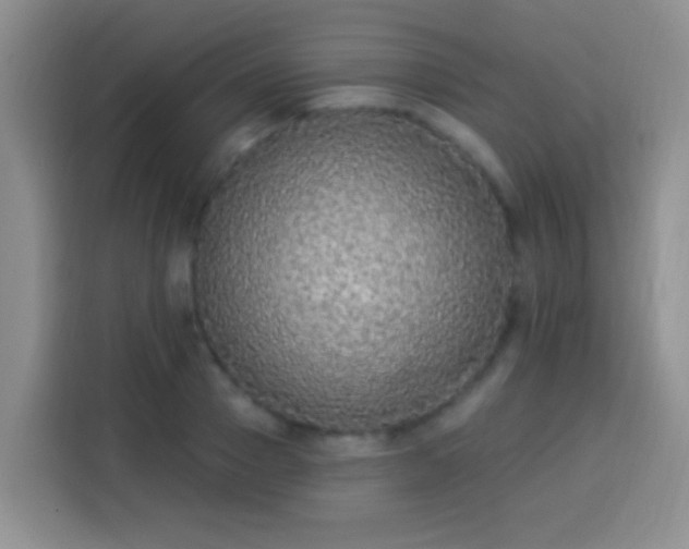 X0000113940937200910021259