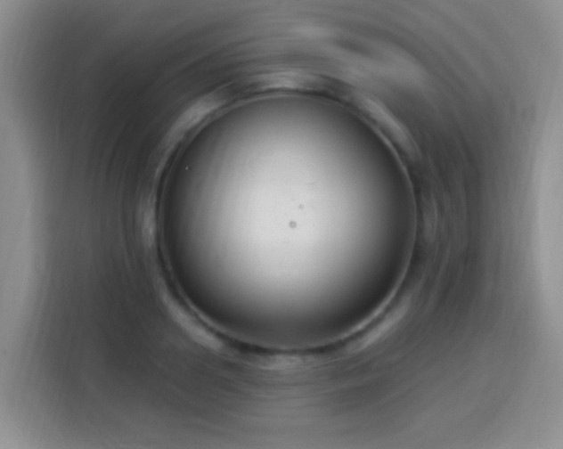 X0000113940938200910021259