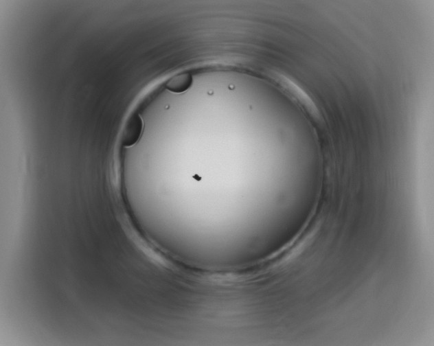 X0000113940940200910021259