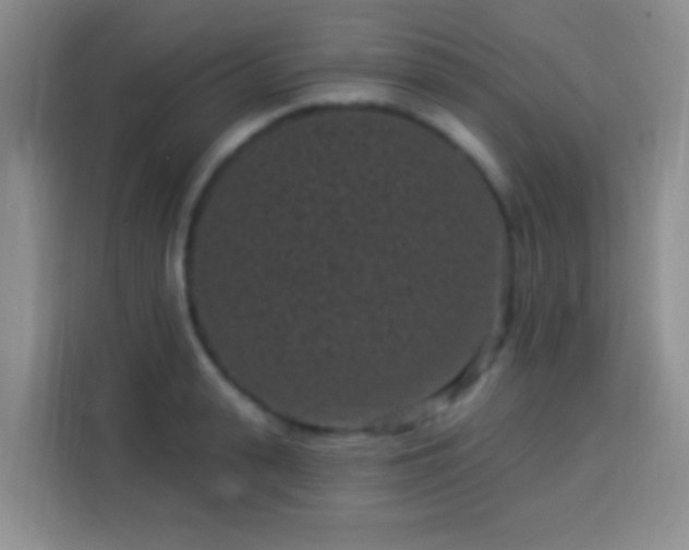 X0000113940943200910021300