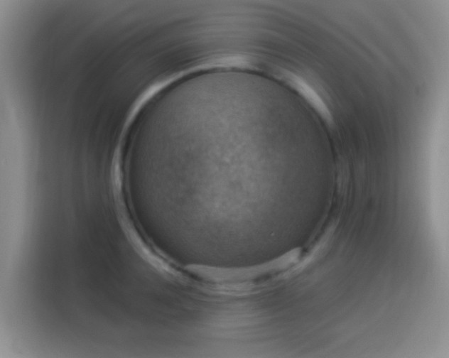 X0000113940944200910021300