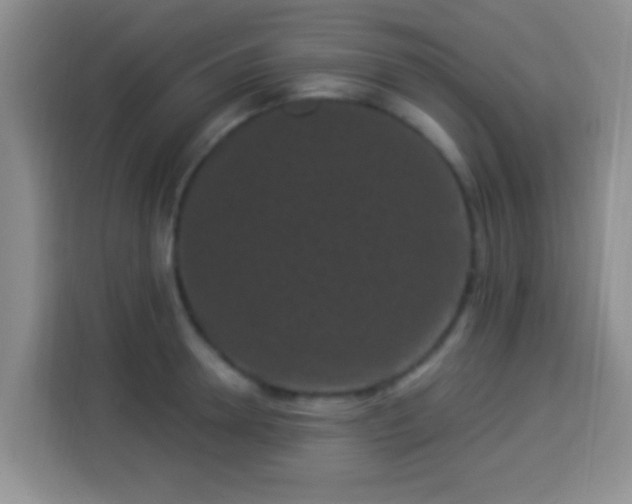 X0000113940946200910021300