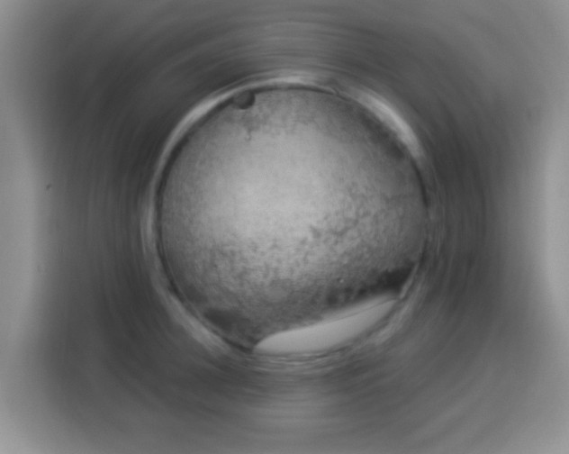 X0000113940948200910021300