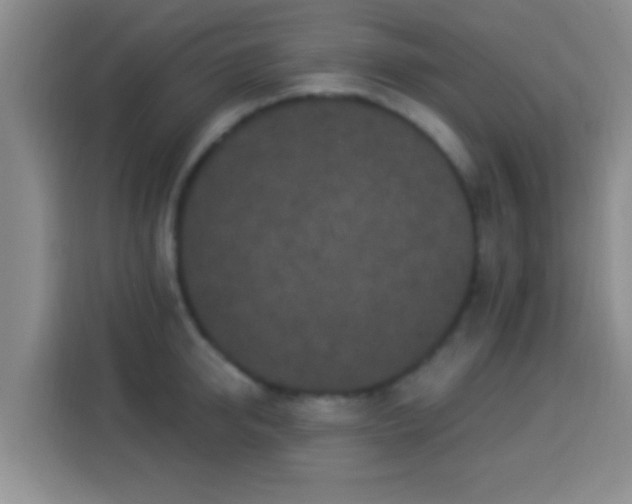 X0000113940950200910021300