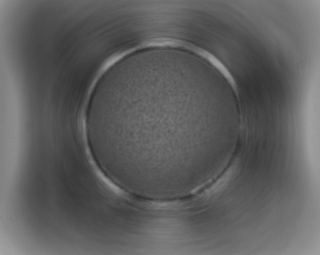 X0000113940951200910021300