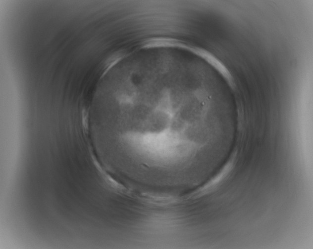 X0000113940953200910021300