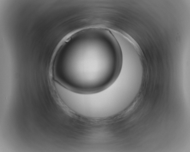 X0000113940956200910021300