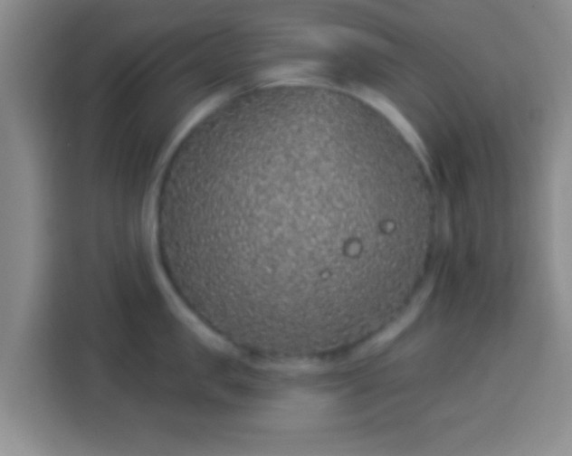 X0000113940957200910021300