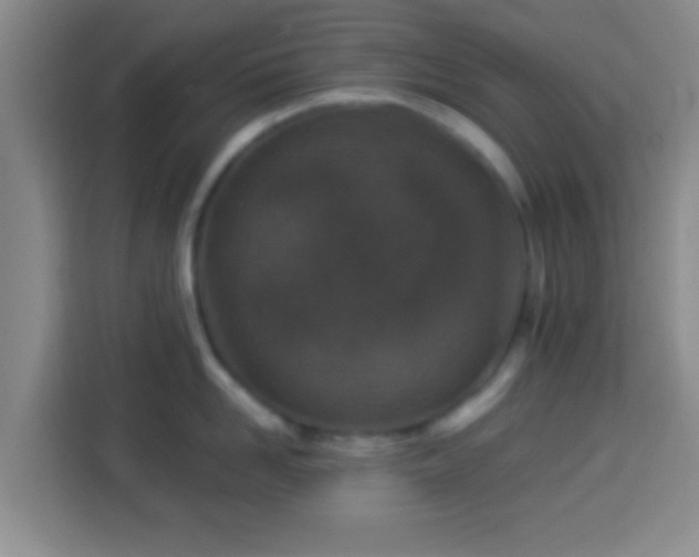 X0000113940958200910021300