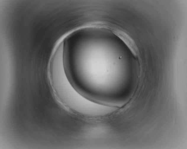 X0000113940960200910021300