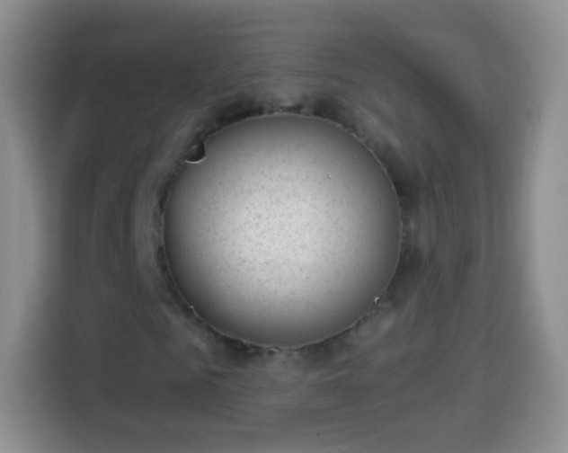 X0000113940961200910021259