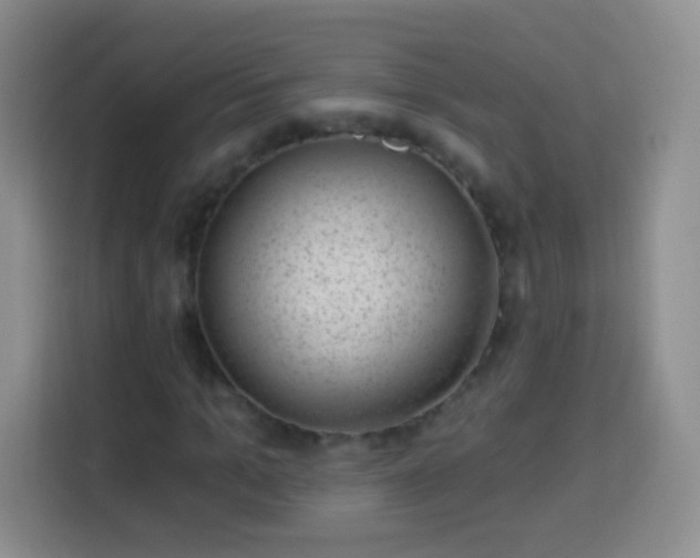 X0000113940965200910021259