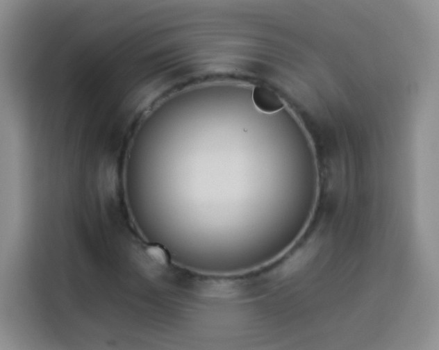 X0000113940969200910021259